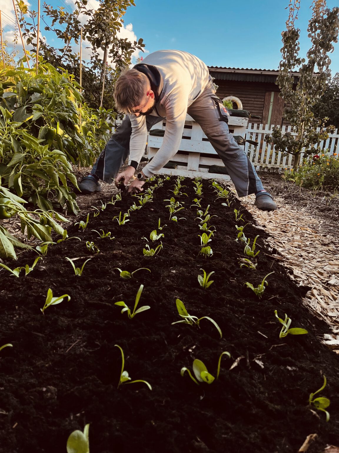 Über uns Asselner Gemüsegarten