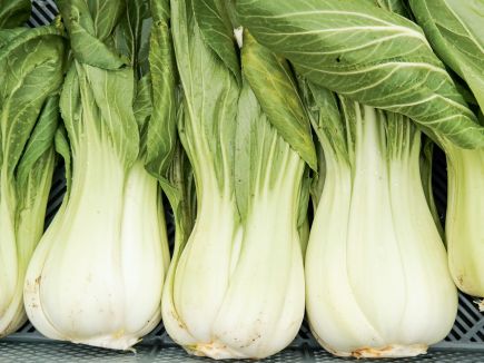 Pak Choi