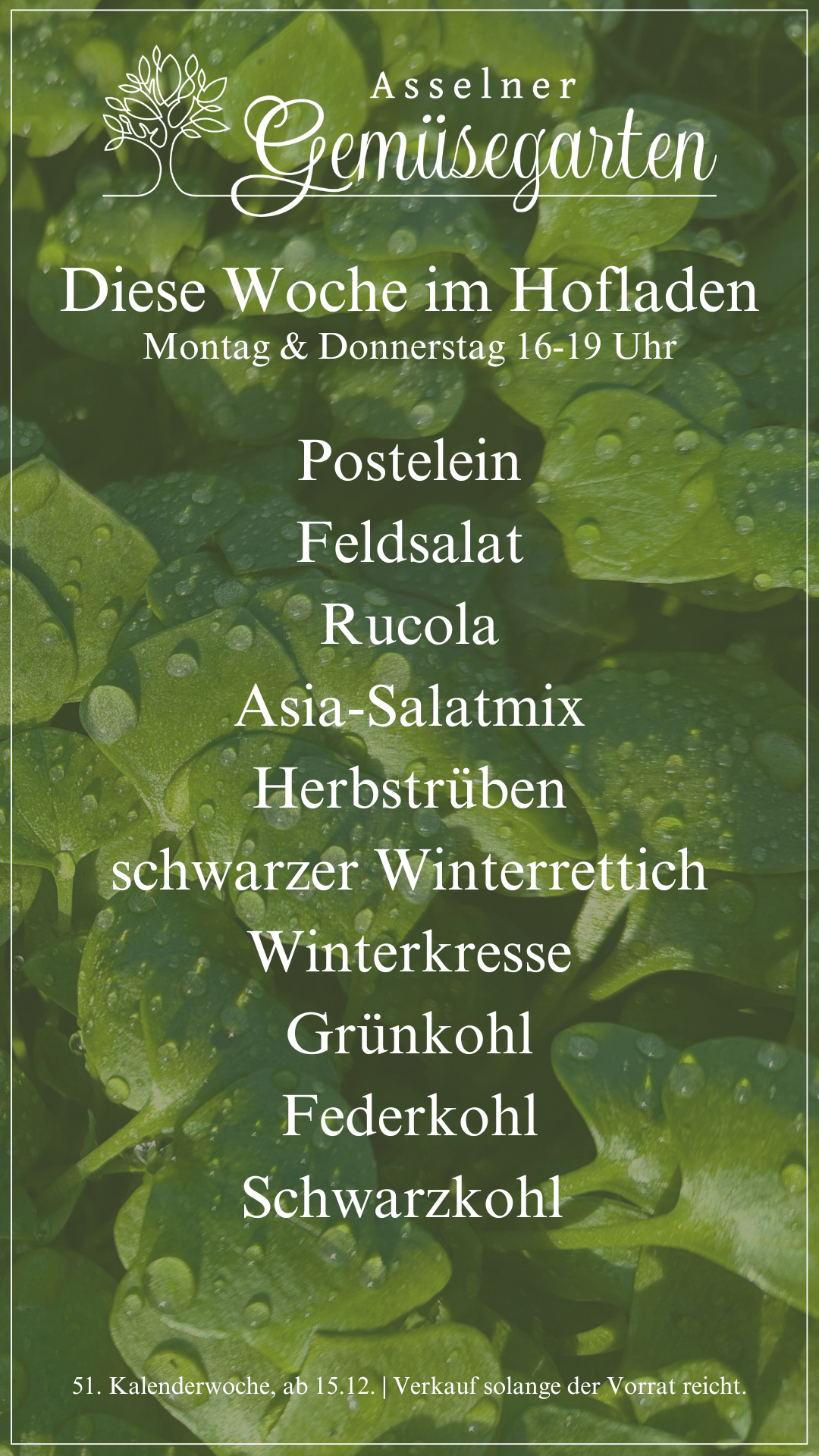das aktuelle Wochenangebot