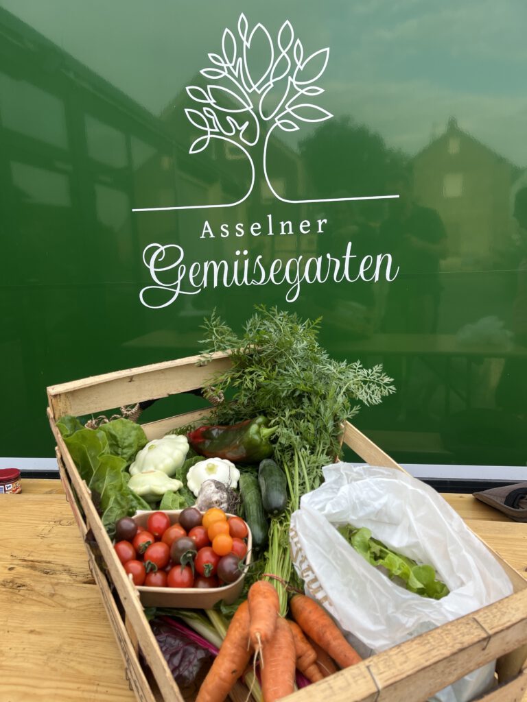 Ein Bild vom Gemüsekörbchen im Juli