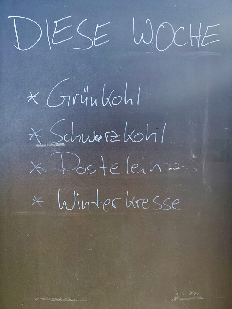 das aktuelle Wochenangebot