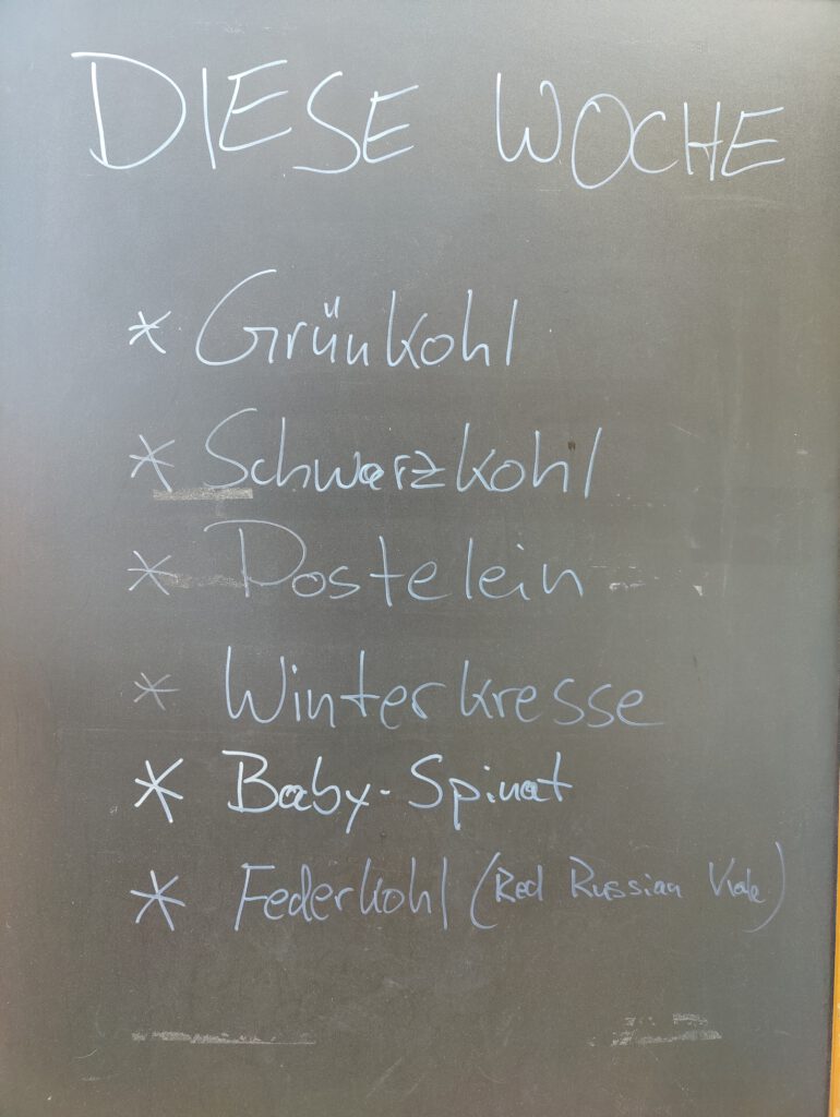 das aktuelle Wochenangebot